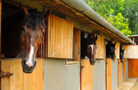 free Mount Hawke stable construction quotes